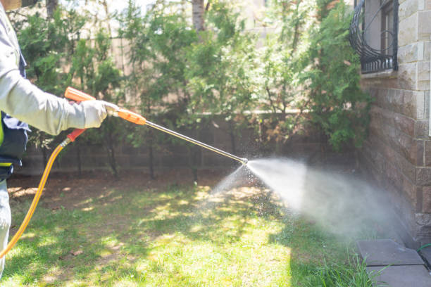 Best Affordable Pest Control Services  in Pepperdine University, CA