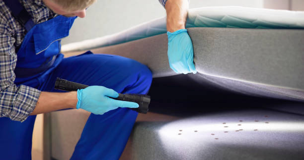 Best Best Pest Control Companies  in Pepperdine University, CA