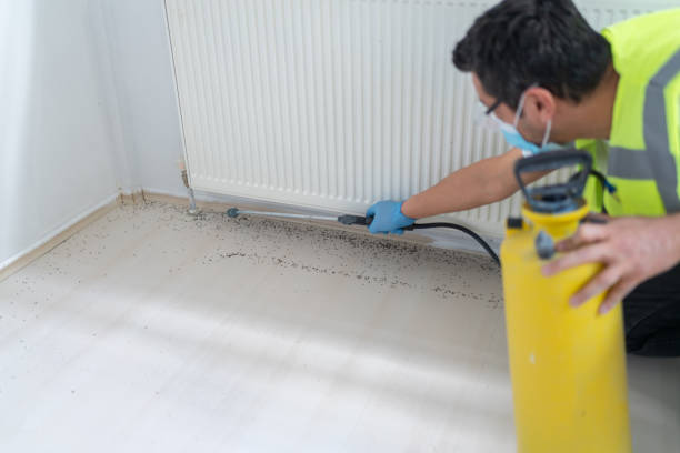 Best Commercial Pest Control Services  in Pepperdine University, CA