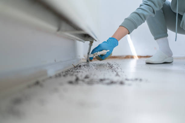 Best Pest Inspection Near Me  in Pepperdine University, CA