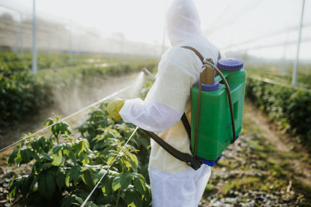  Pepperdine University, CA Pest Control Pros